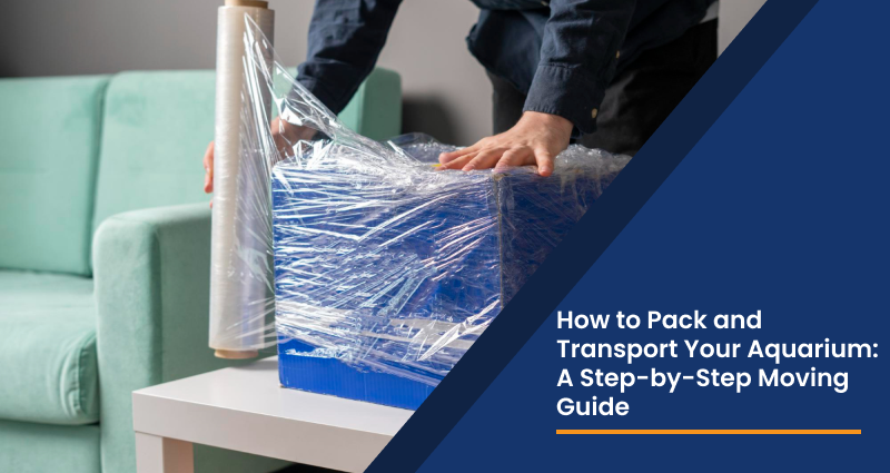How to Pack and Transport Your Aquarium: A Step-by-Step Moving Guide